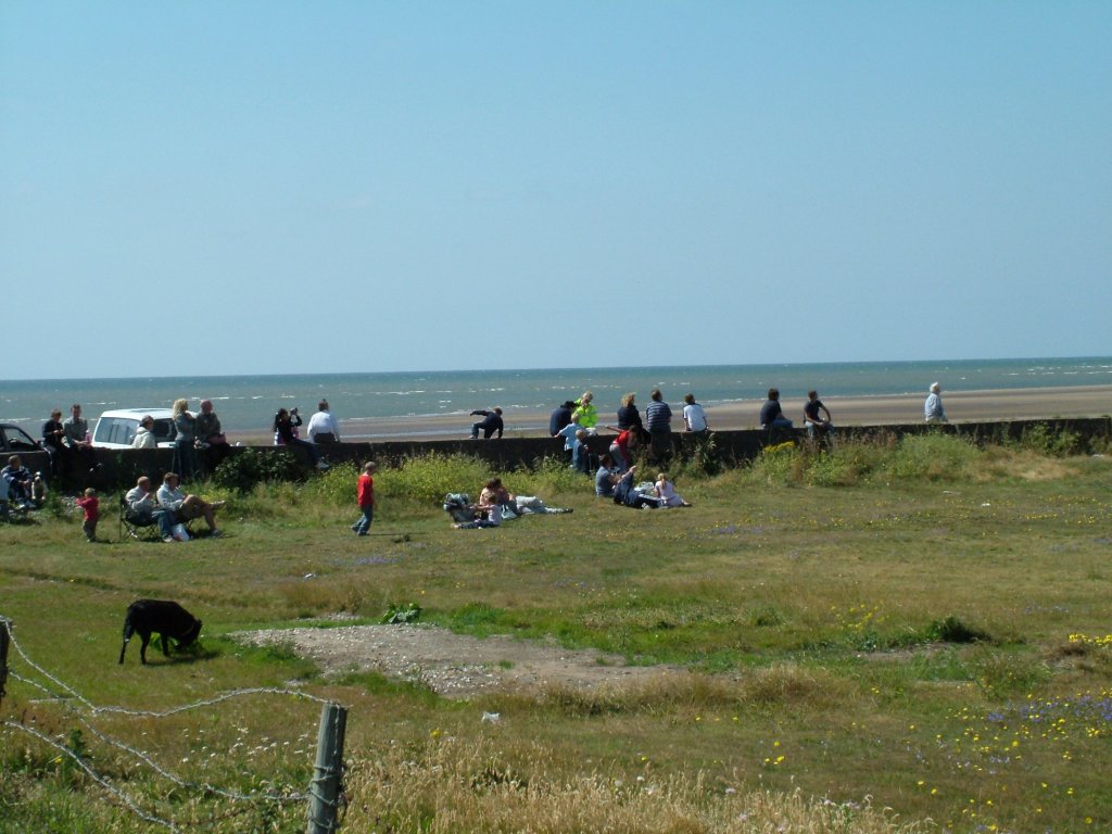 Click now to see this image full size.