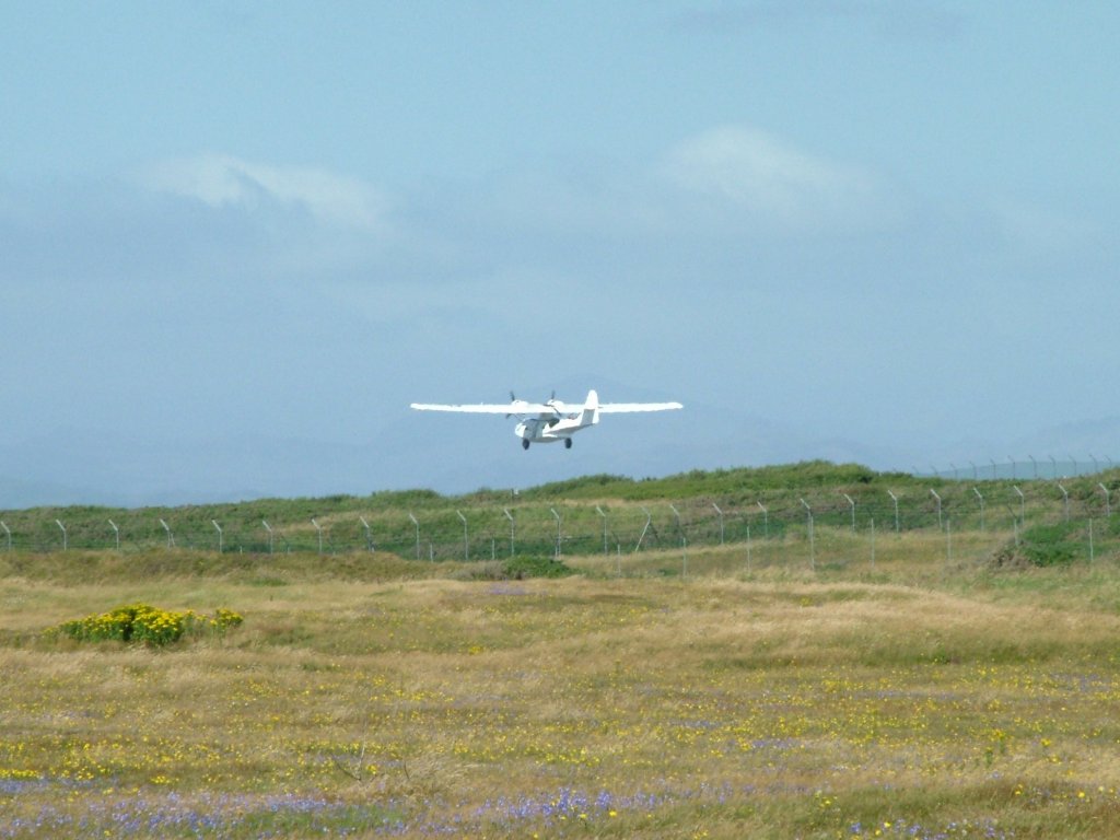 Click now to see this image full size.