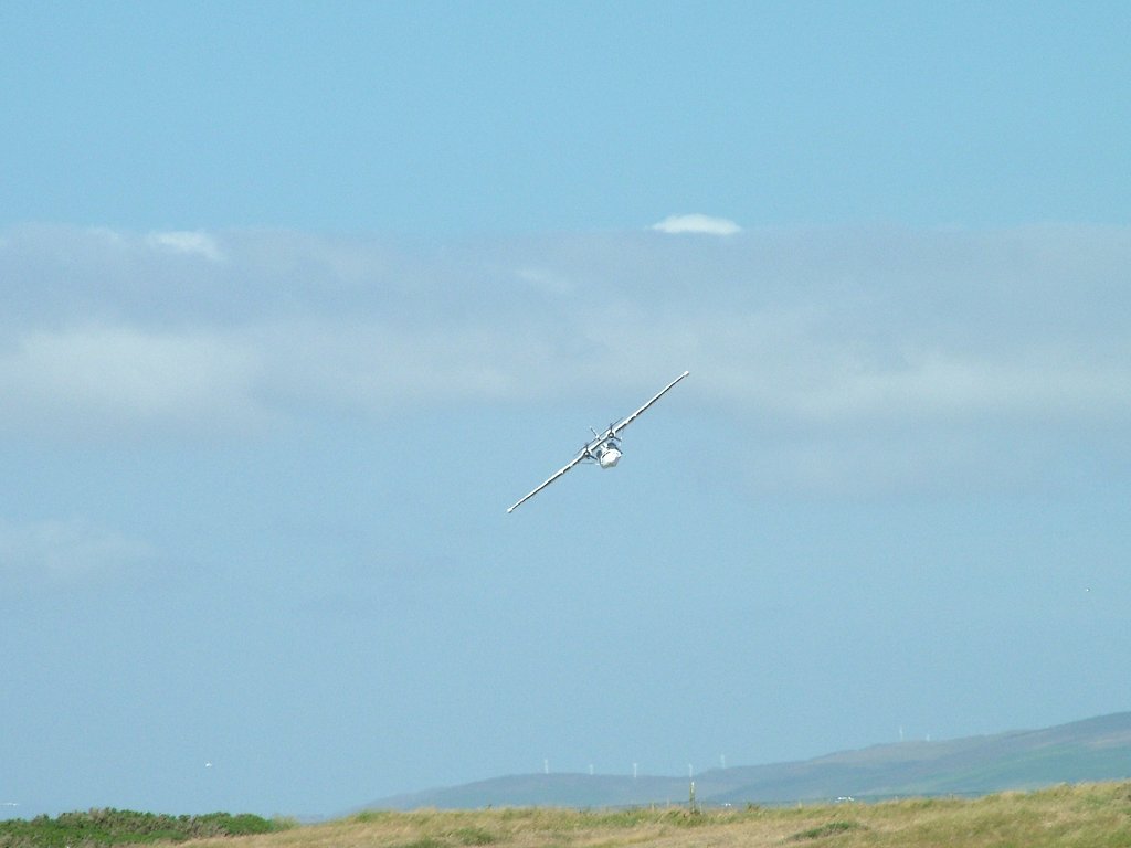 Click now to see this image full size.