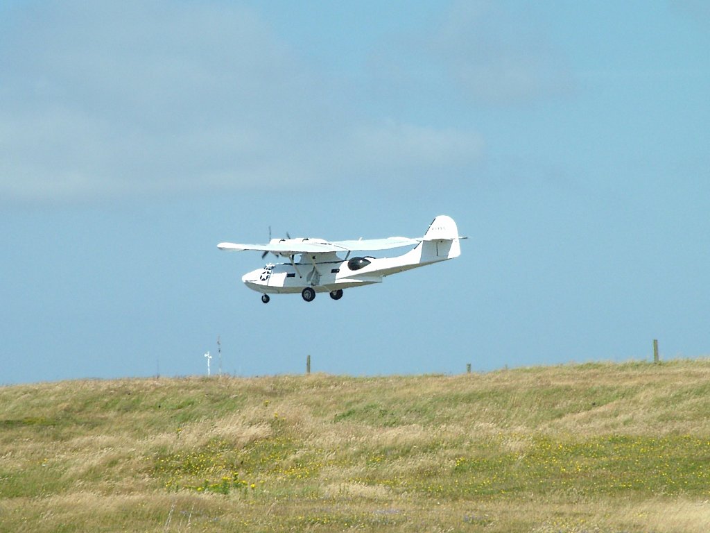 Click now to see this image full size.