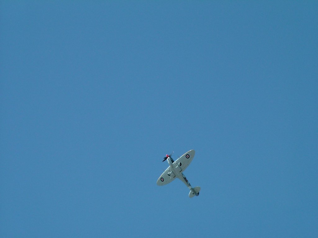 Click now to see this image full size.