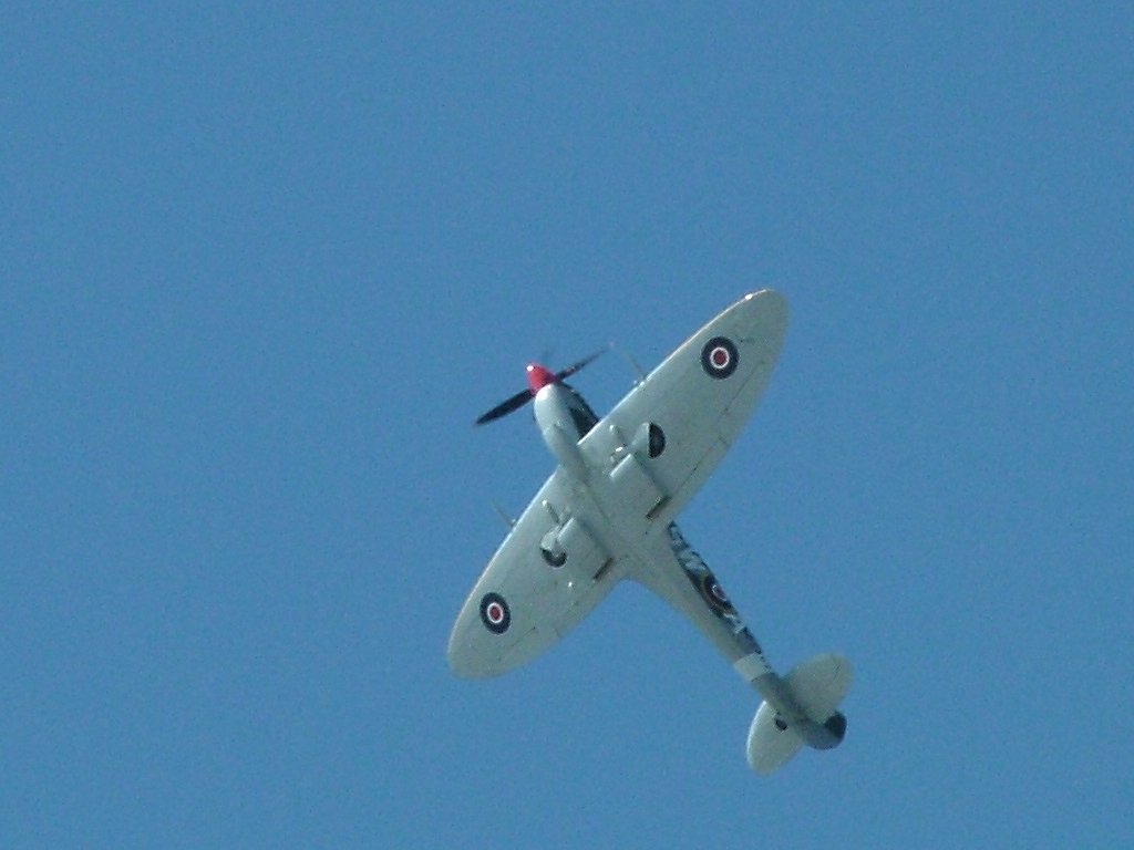 Click now to see this image full size.