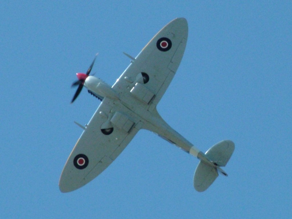 Click now to see this image full size.