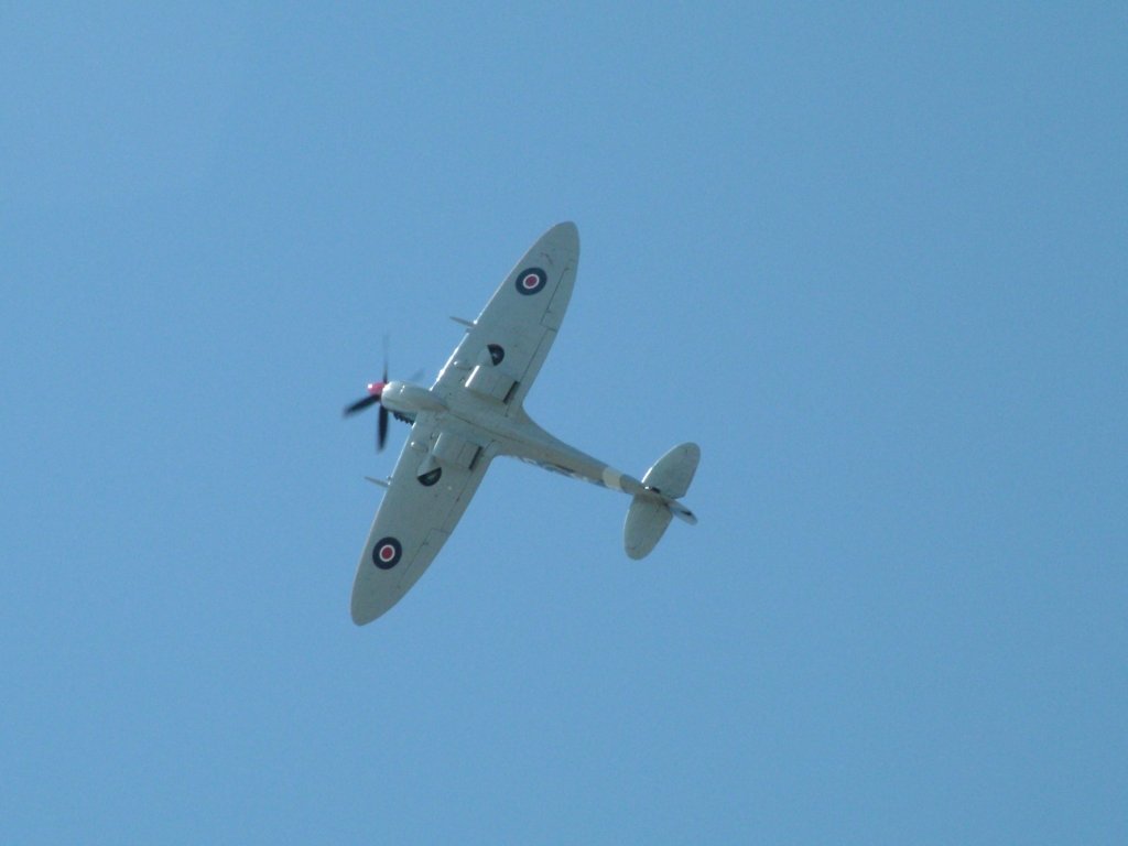 Click now to see this image full size.