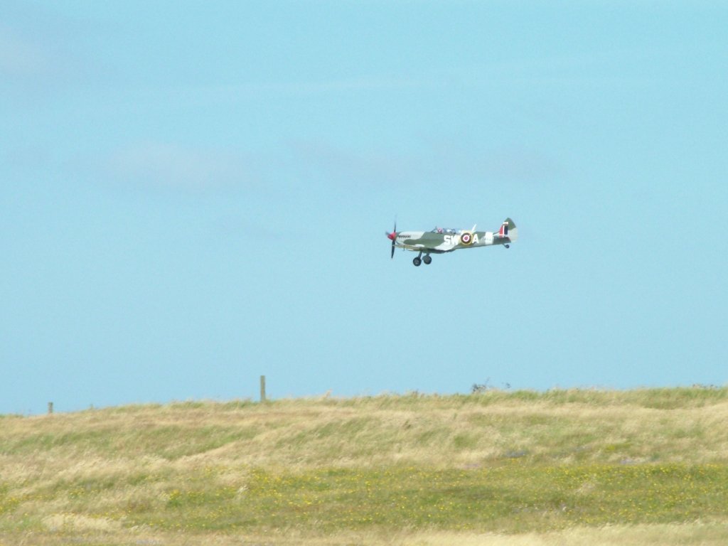 Click now to see this image full size.