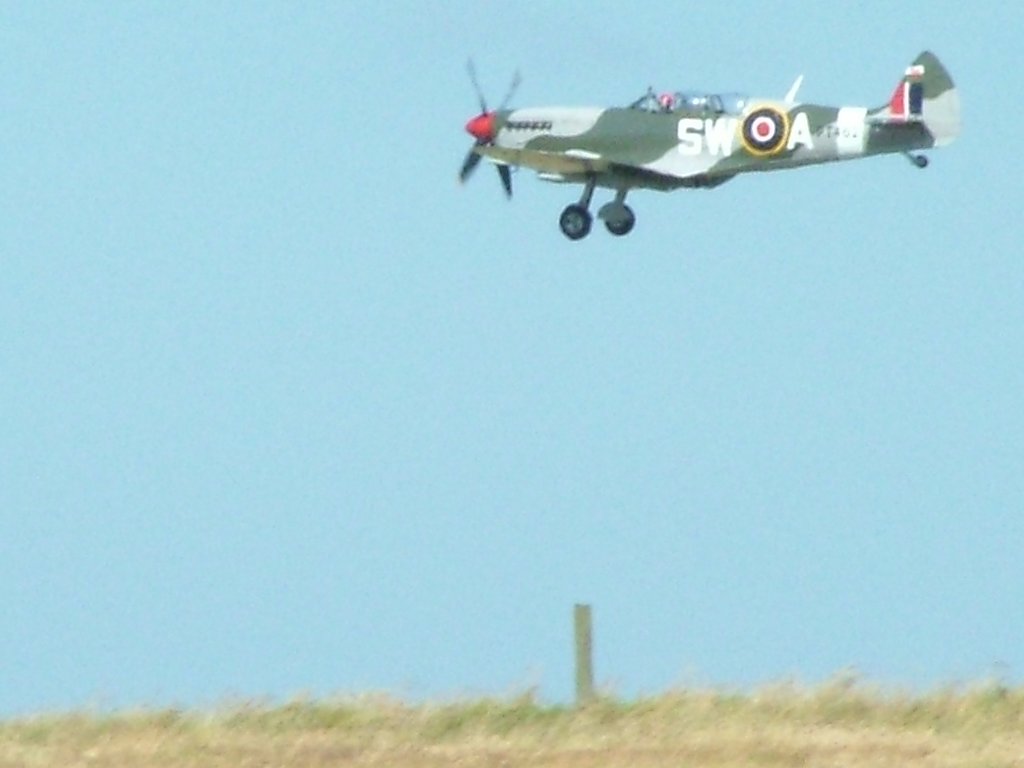 Click now to see this image full size.