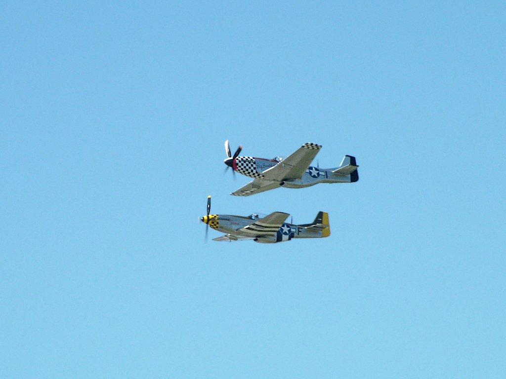 Click now to see this image full size.