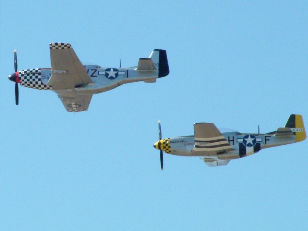 Click now to see this image full size.