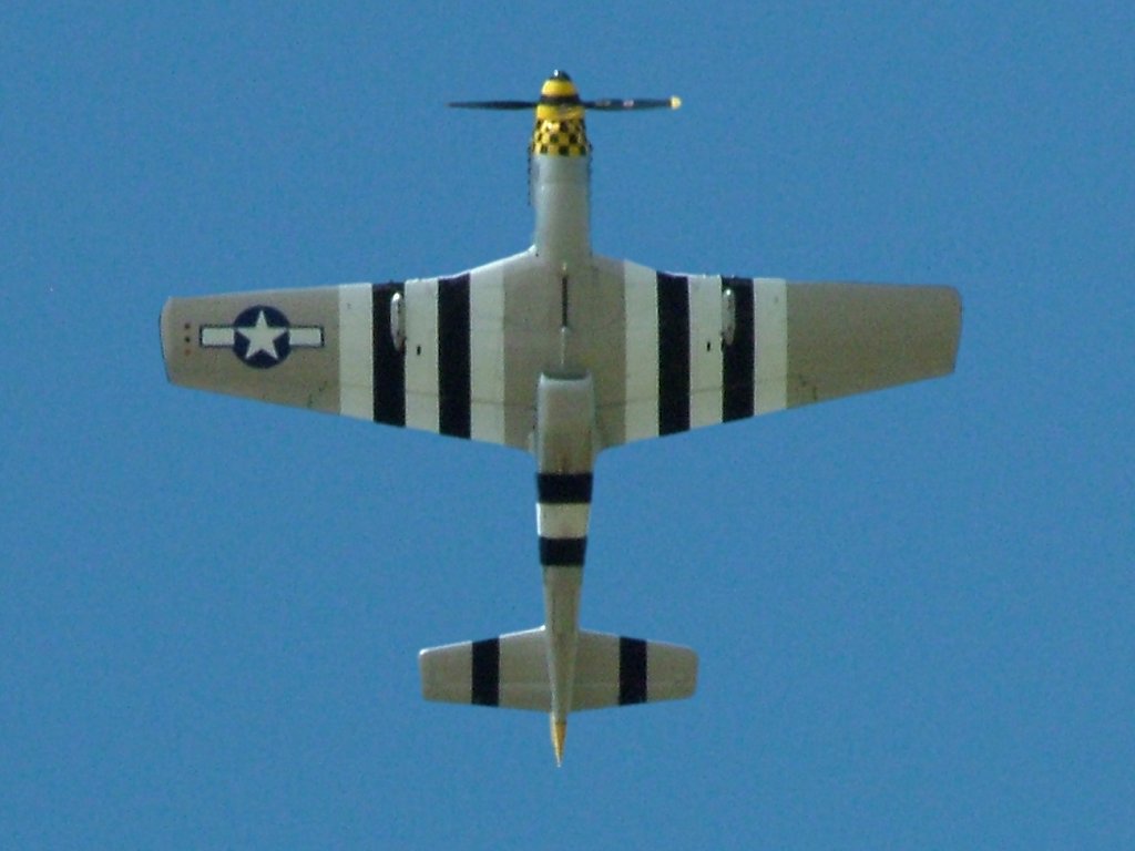 Click now to see this image full size.