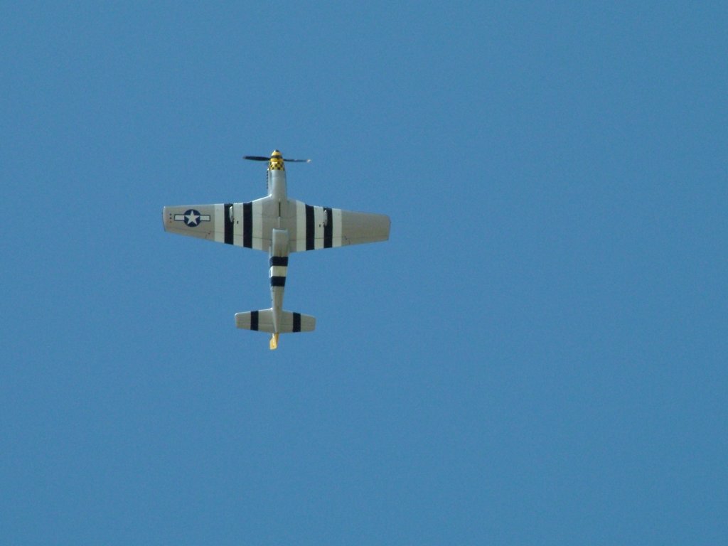 Click now to see this image full size.