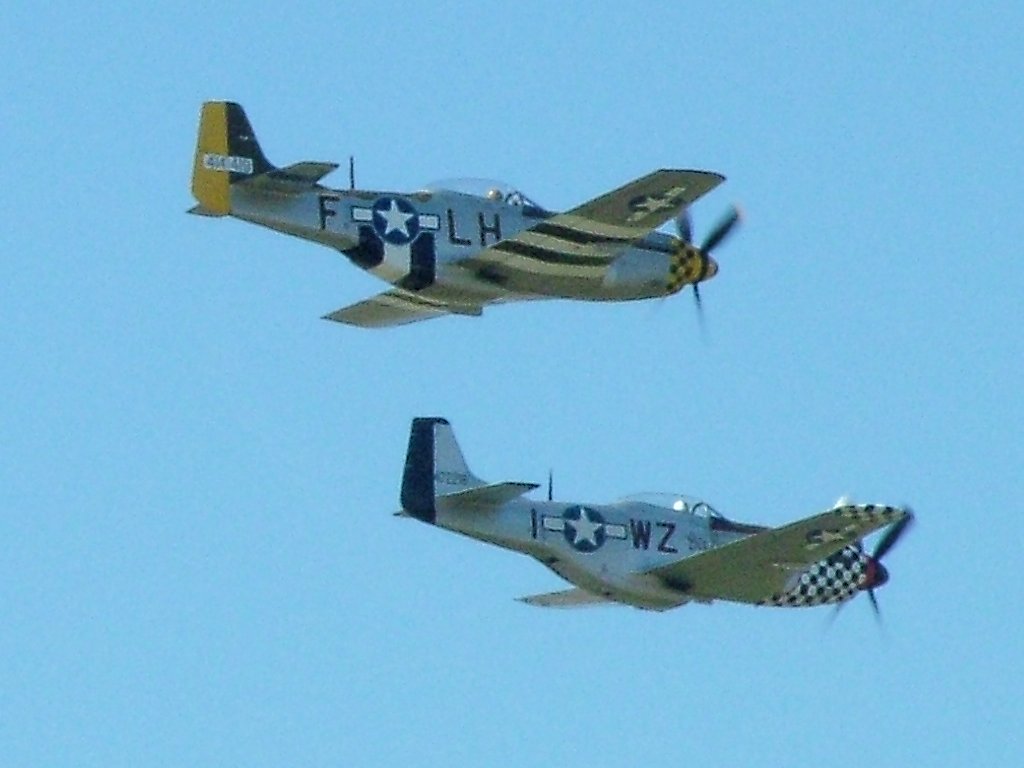 Click now to see this image full size.