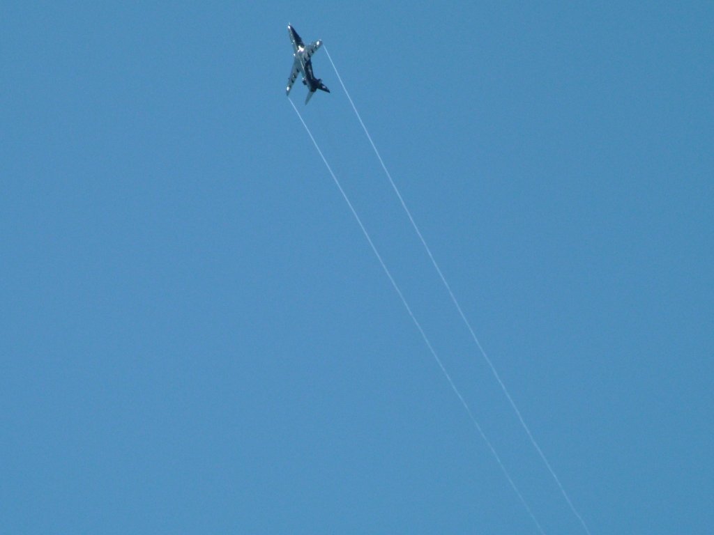 Click now to see this image full size.