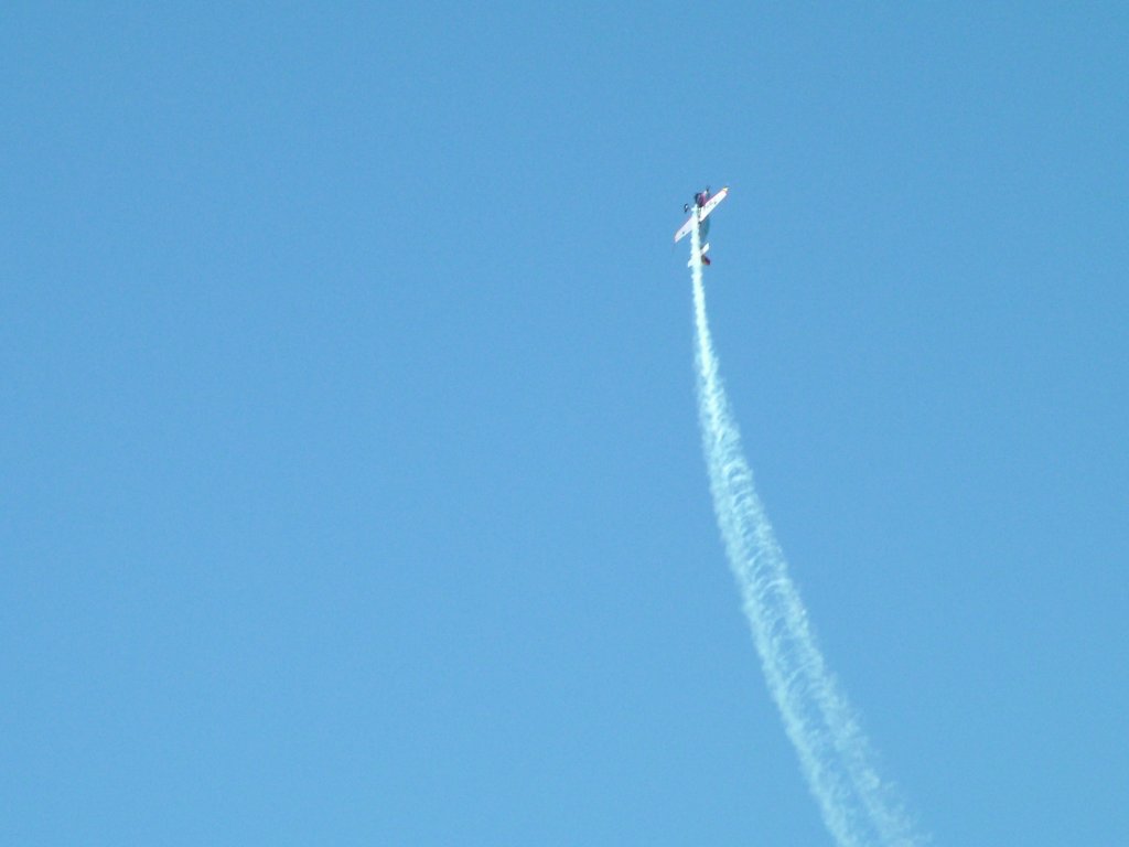 Click now to see this image full size.