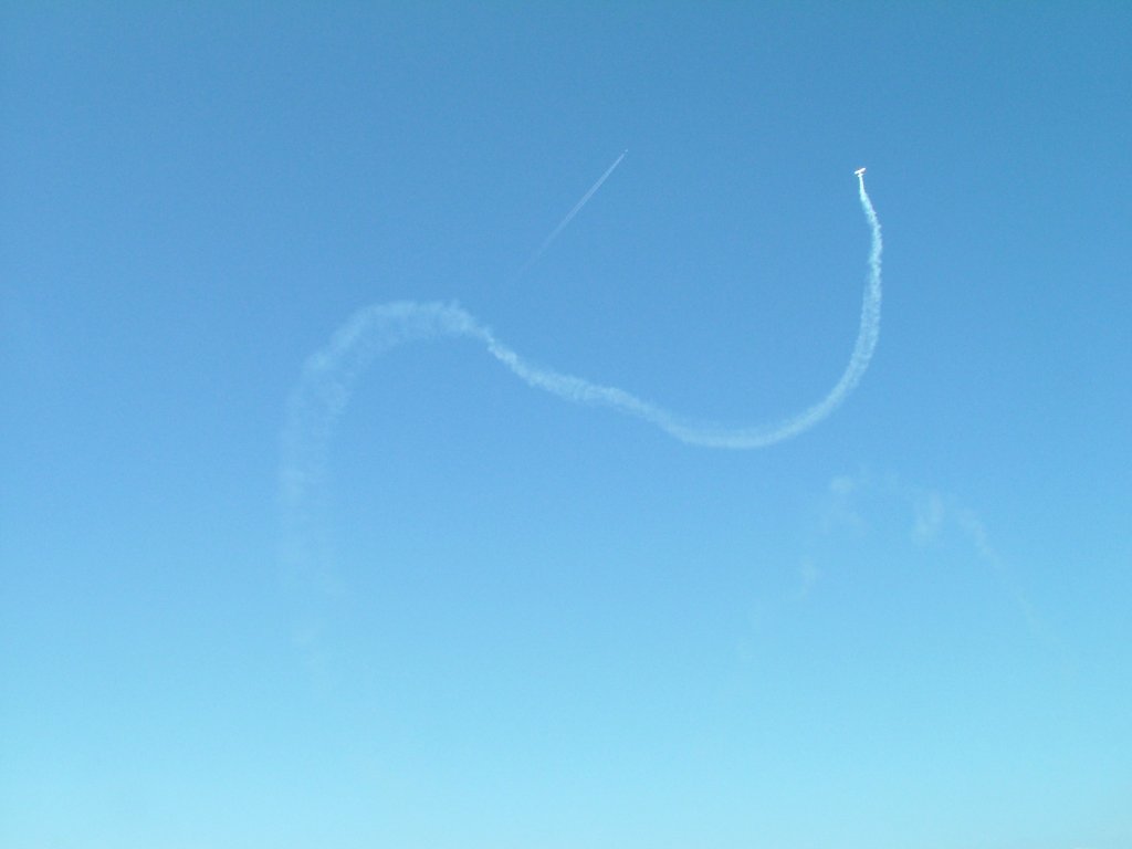 Click now to see this image full size.