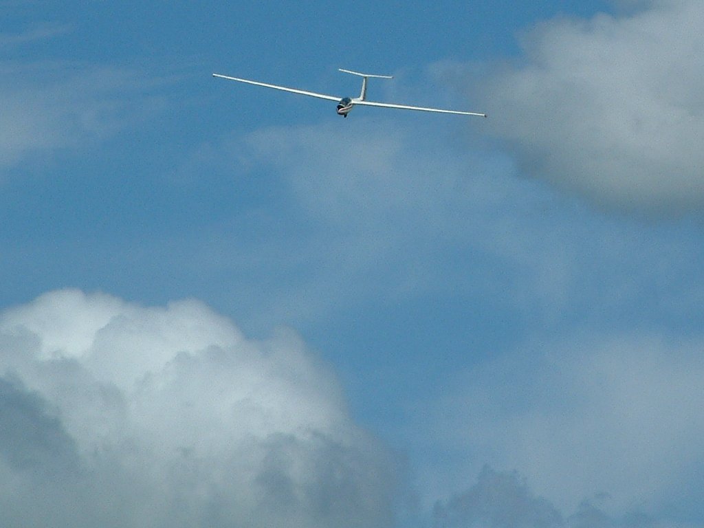 Click now to see this image full size.