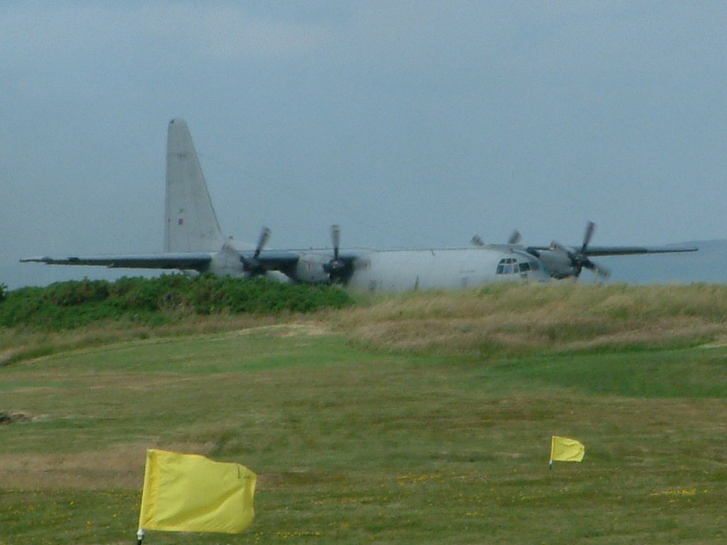 Click now to see this image full size.