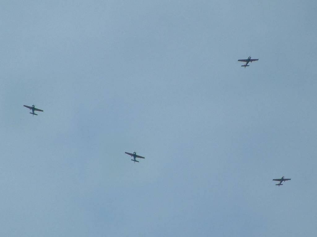 Click now to see this image full size.