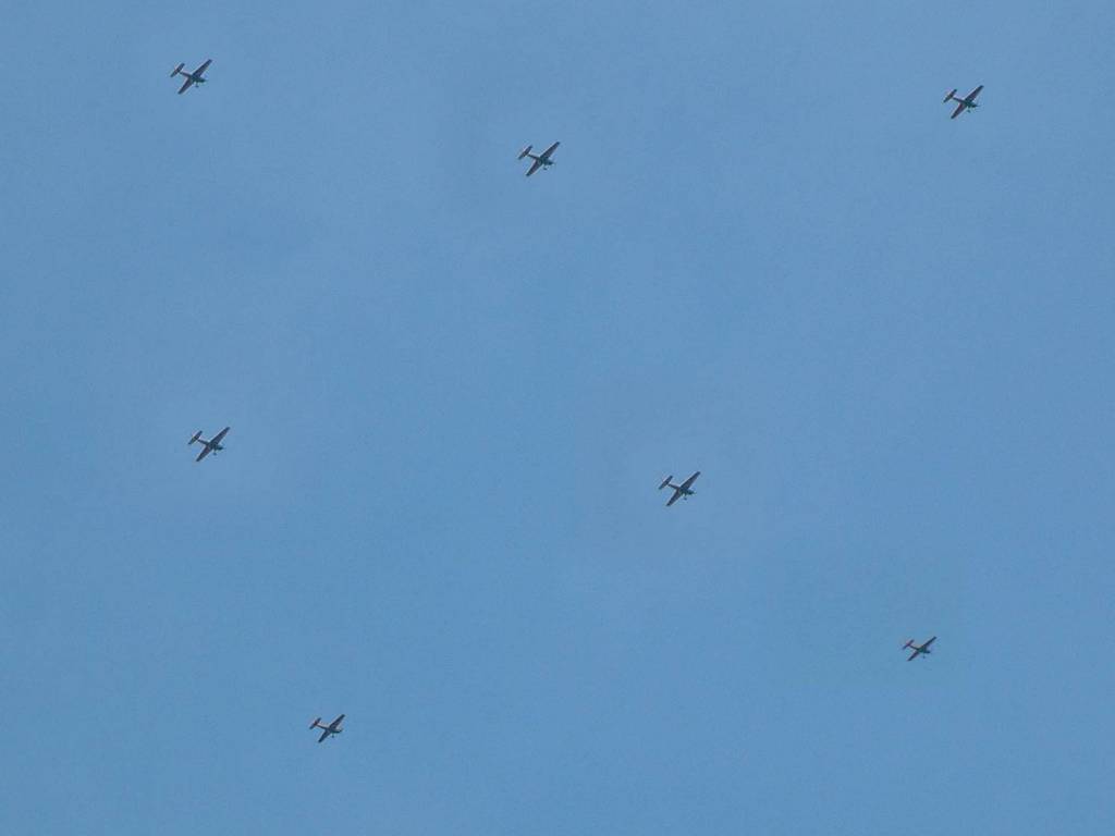 Click now to see this image full size.