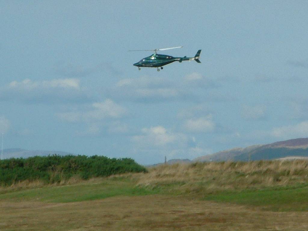 Click now to see this image full size.