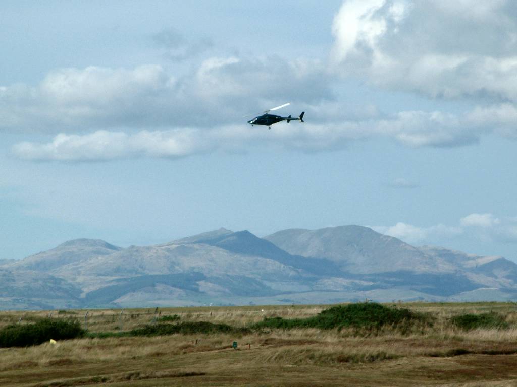 Click now to see this image full size.