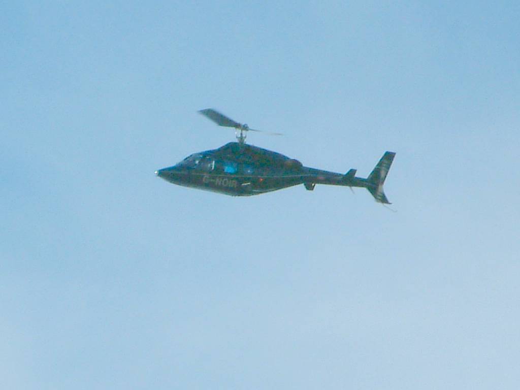 Click now to see this image full size.