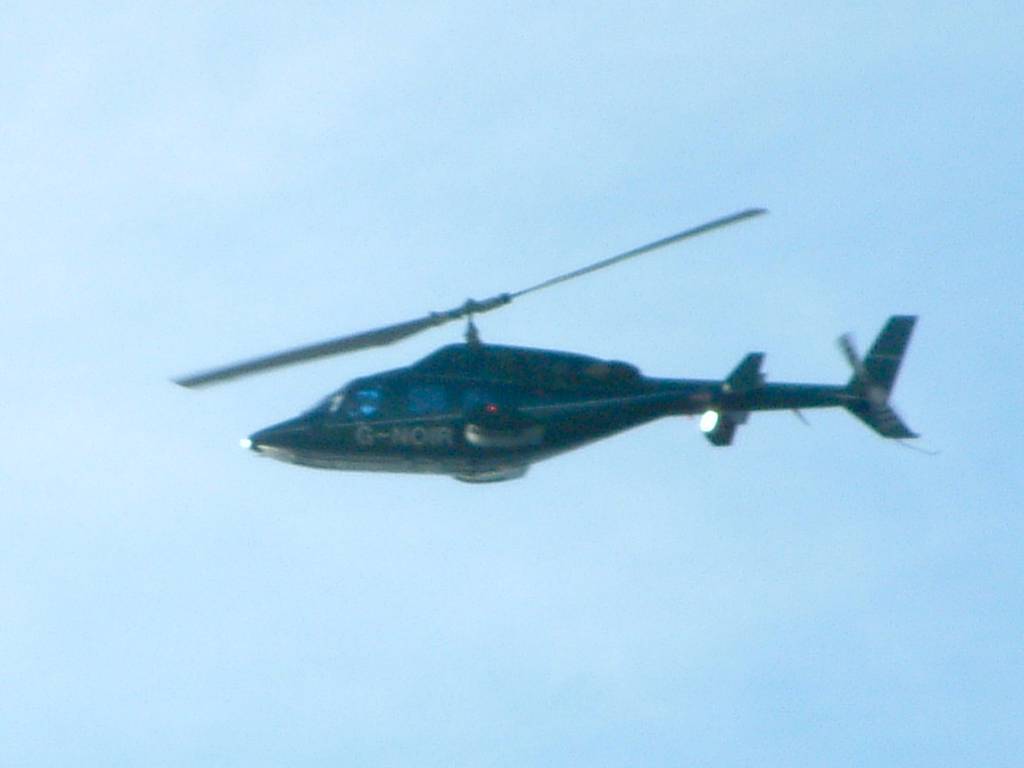 Click now to see this image full size.