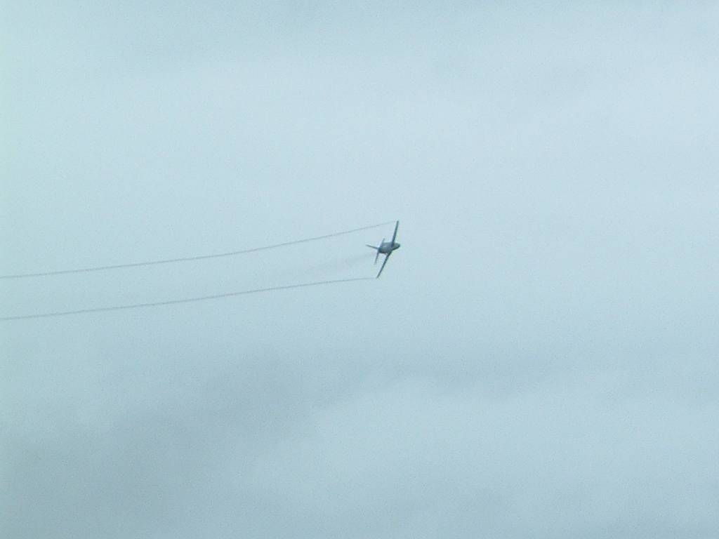 Click now to see this image full size.