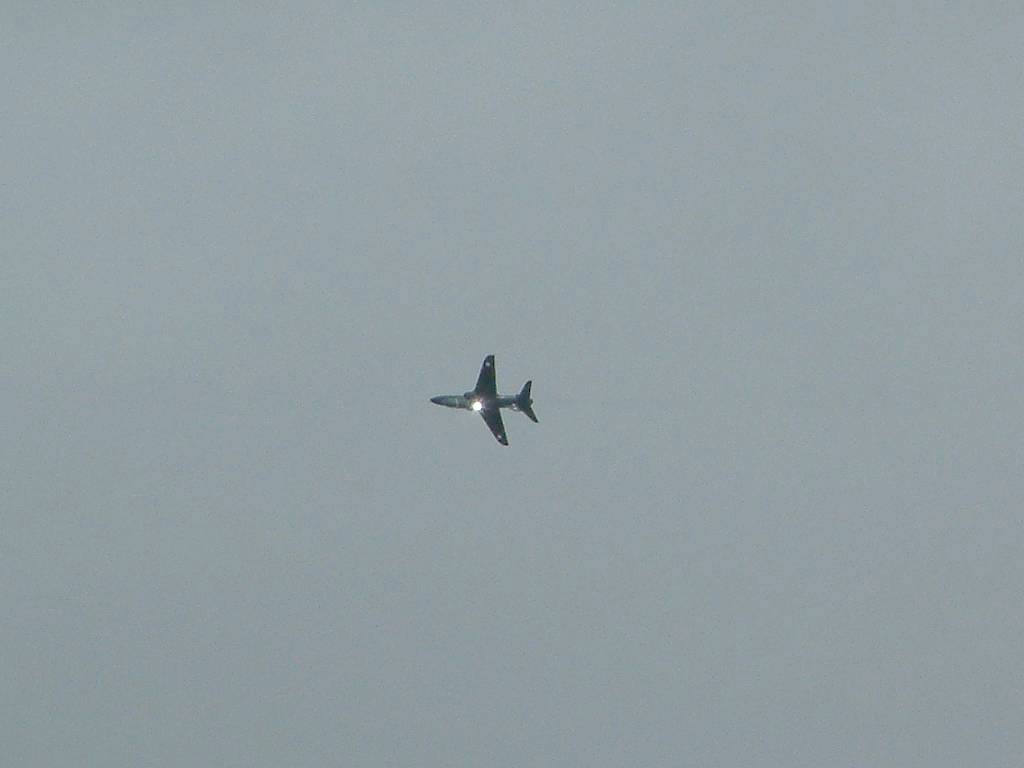 Click now to see this image full size.