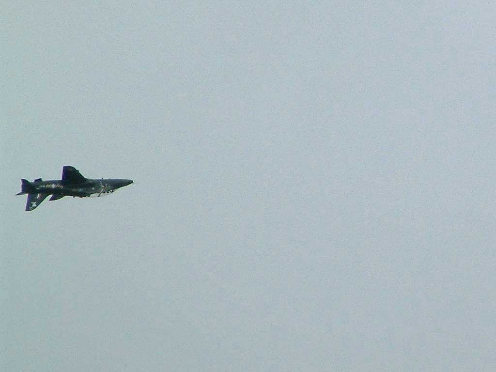 Click now to see this image full size.