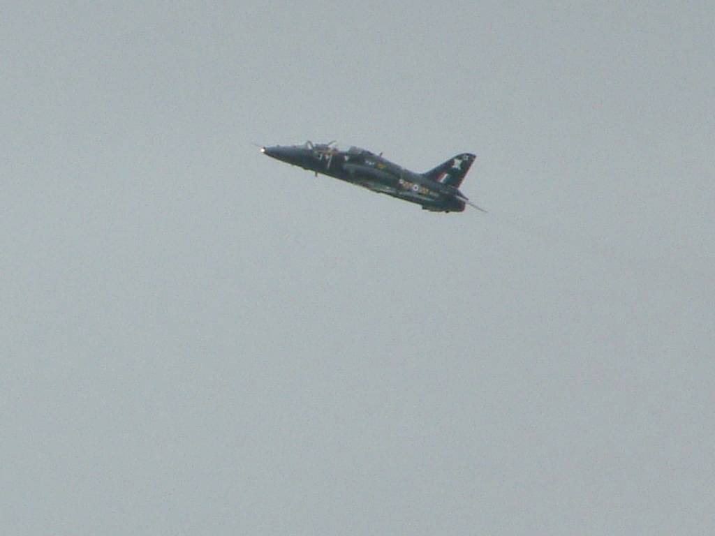 Click now to see this image full size.