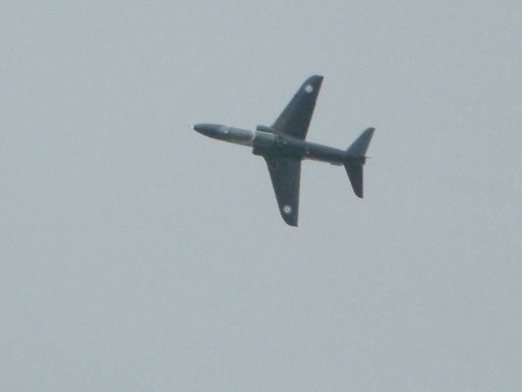 Click now to see this image full size.