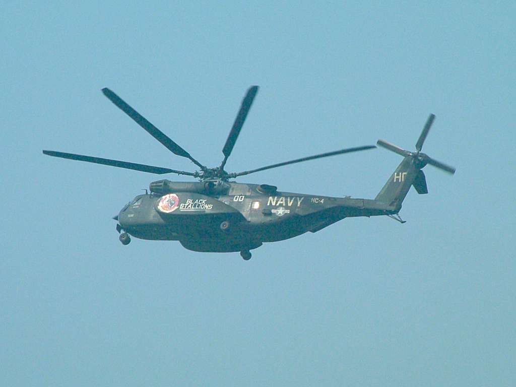 Click now to see this image full size.