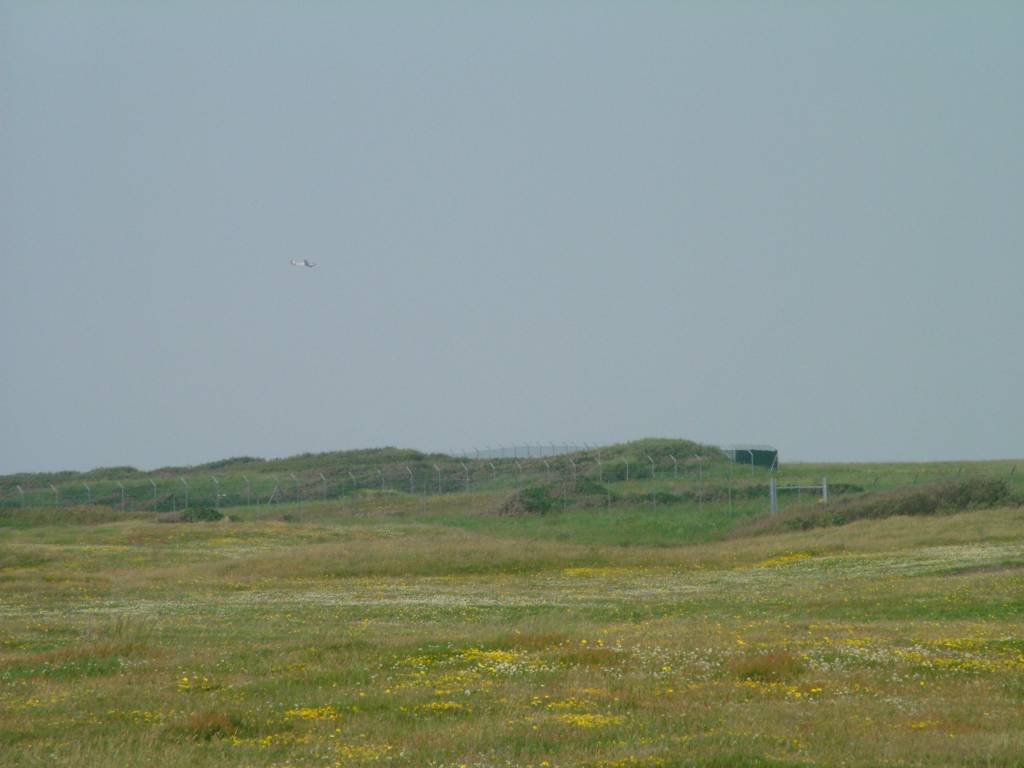 Click now to see this image full size.