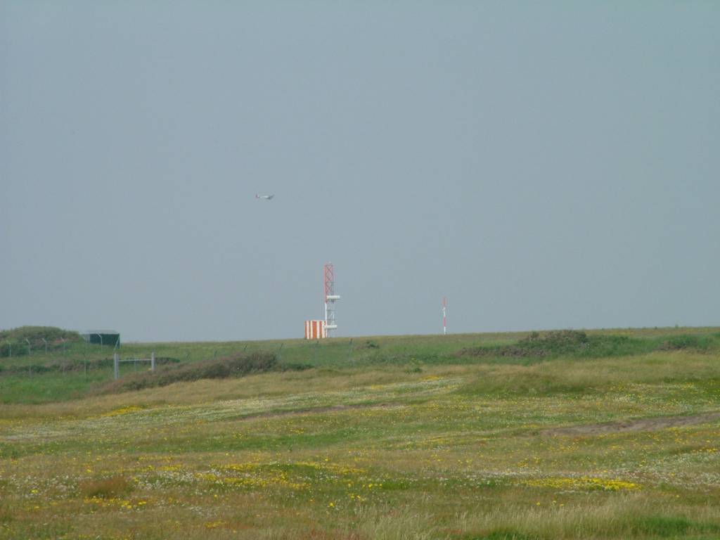 Click now to see this image full size.