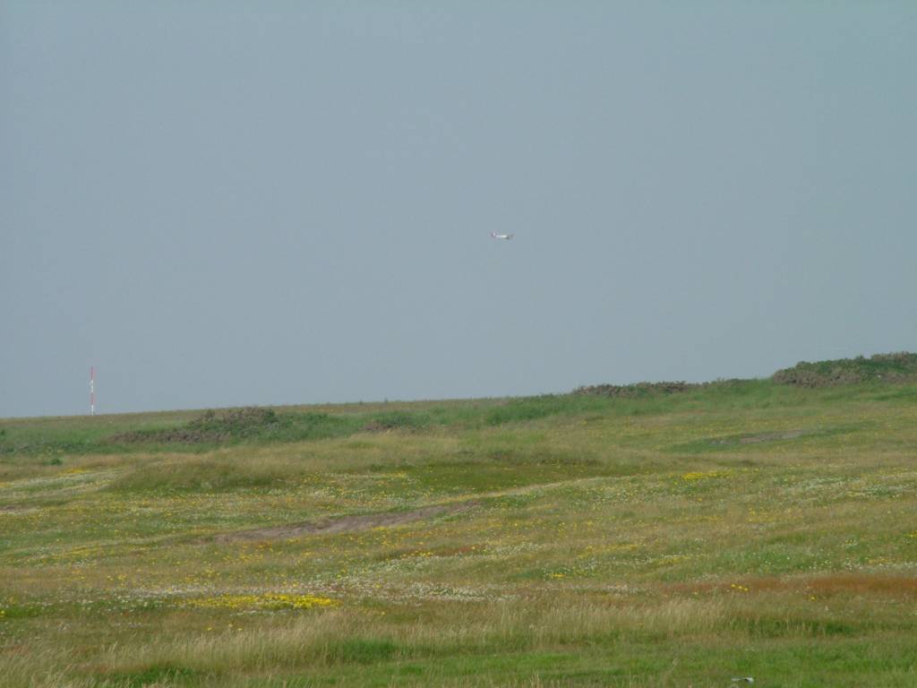 Click now to see this image full size.