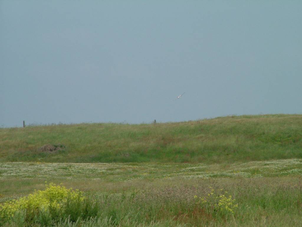 Click now to see this image full size.