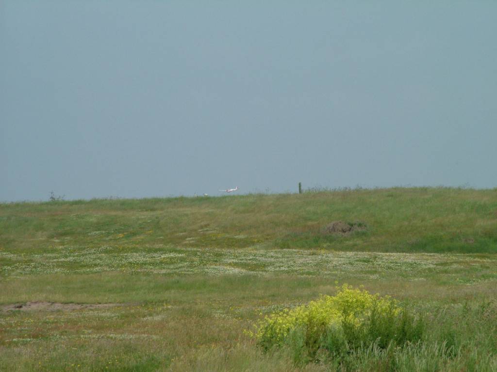 Click now to see this image full size.