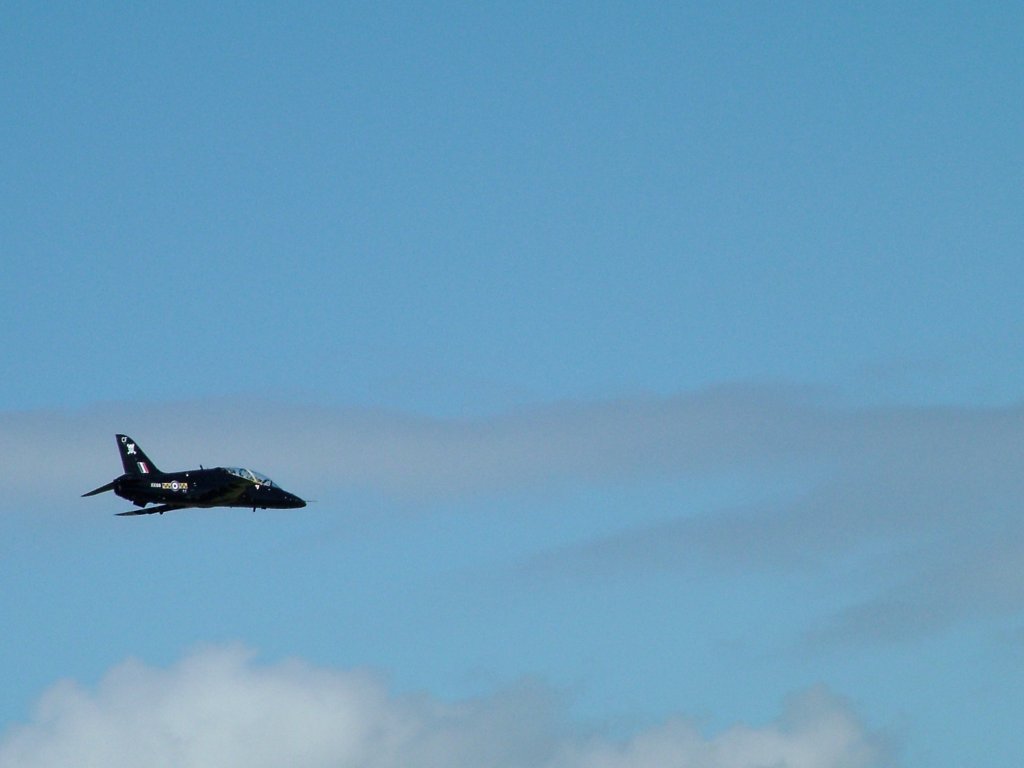 Click now to see this image full size.