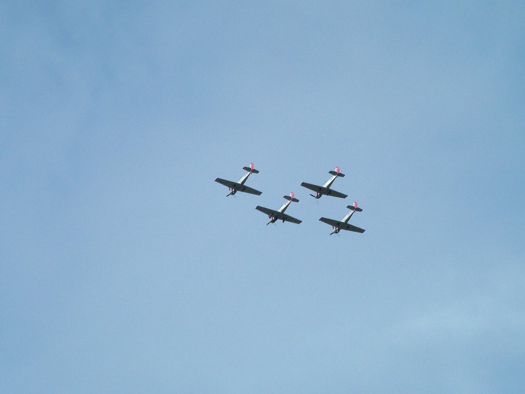 Click now to see this image full size.