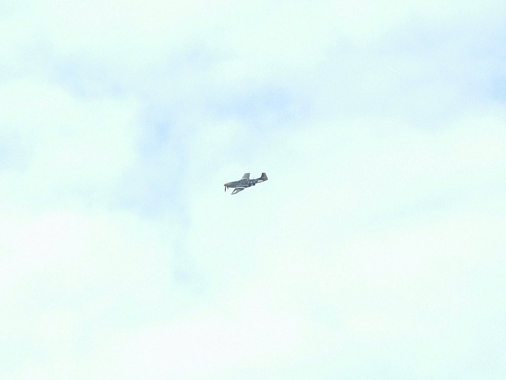 Click now to see this image full size.