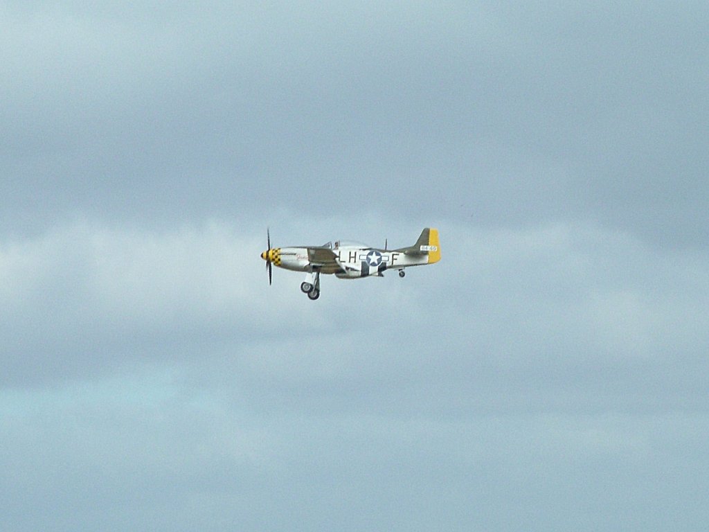 Click now to see this image full size.