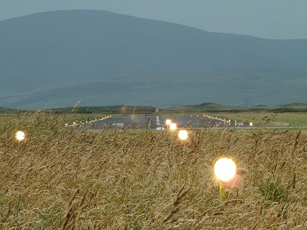 Click now to see this image full size.