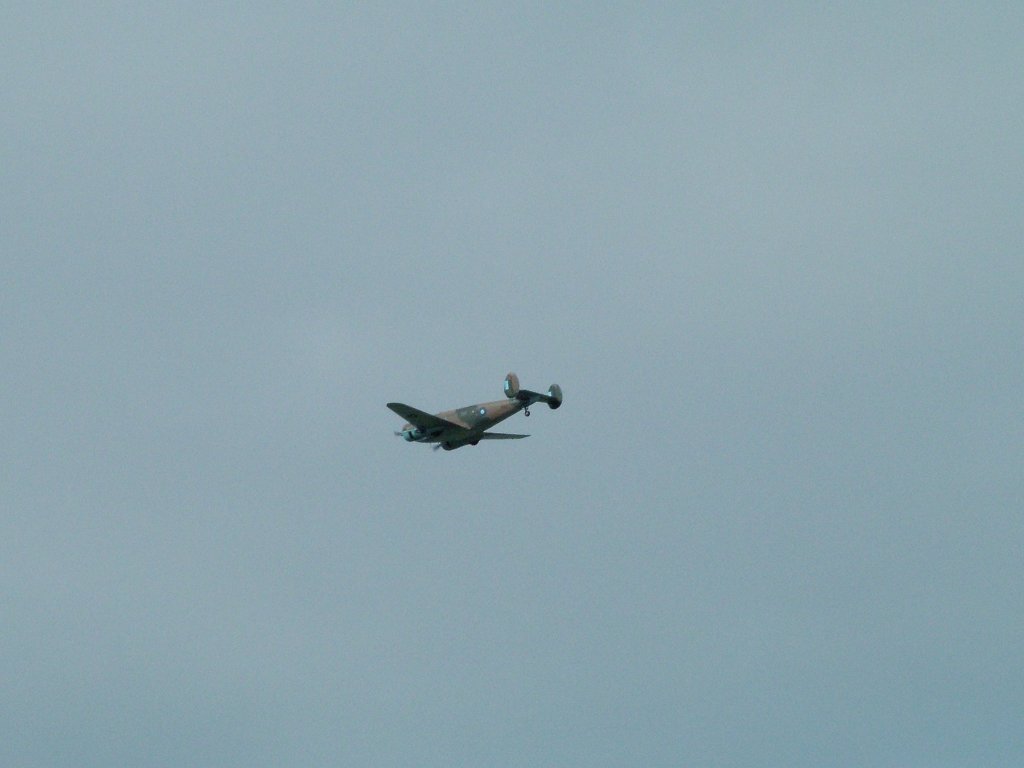 Click now to see this image full size.