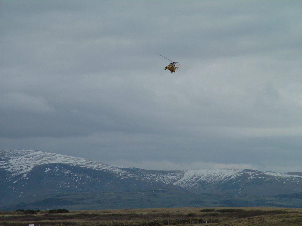 Click now to see this image full size.