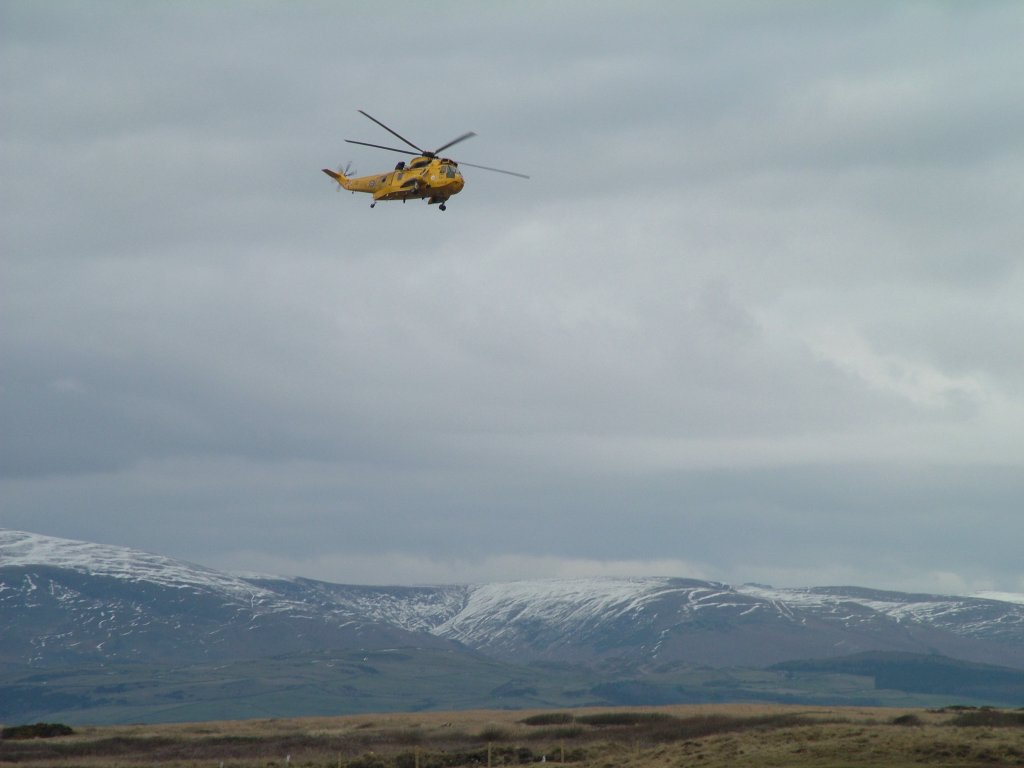 Click now to see this image full size.