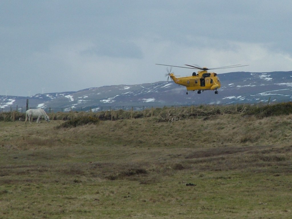 Click now to see this image full size.