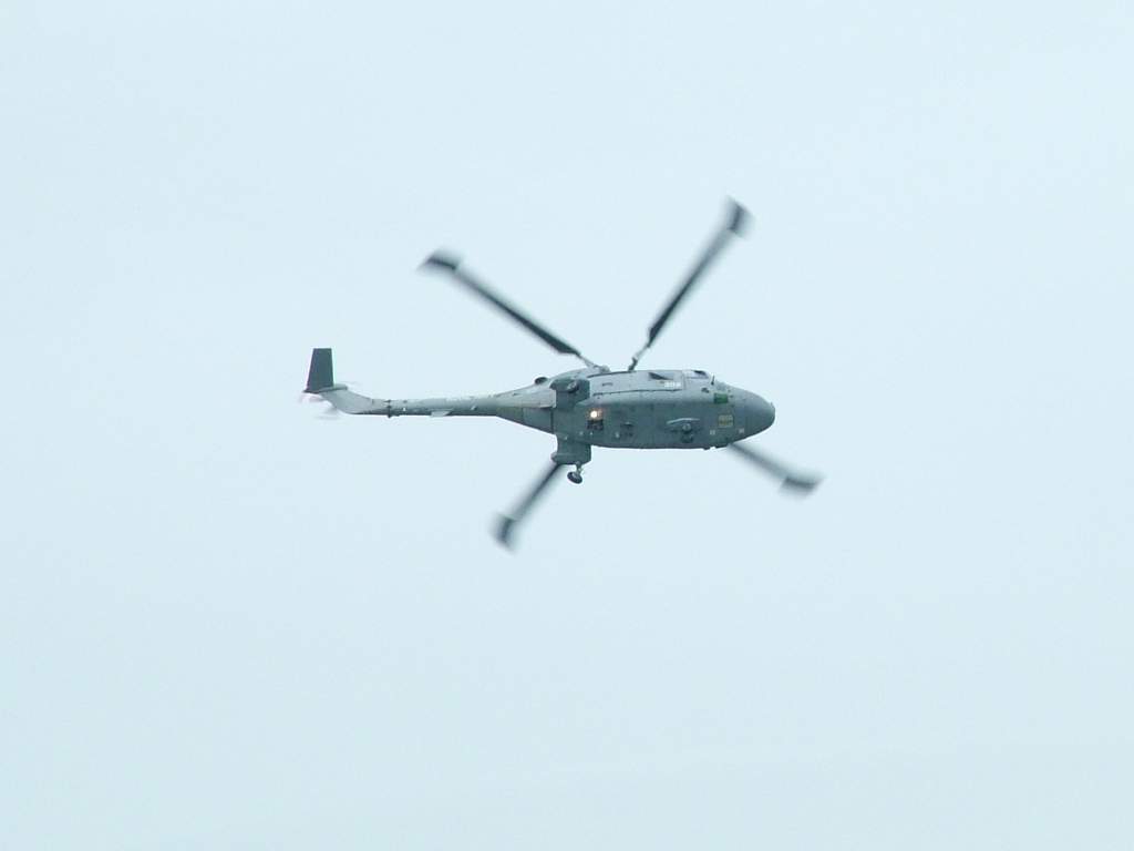 Click now to see this image full size.