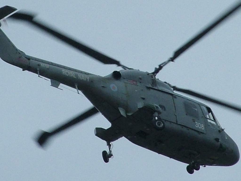 Click now to see this image full size.