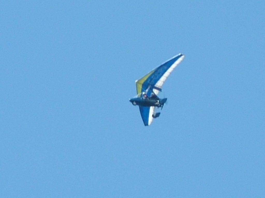 Click now to see this image full size.