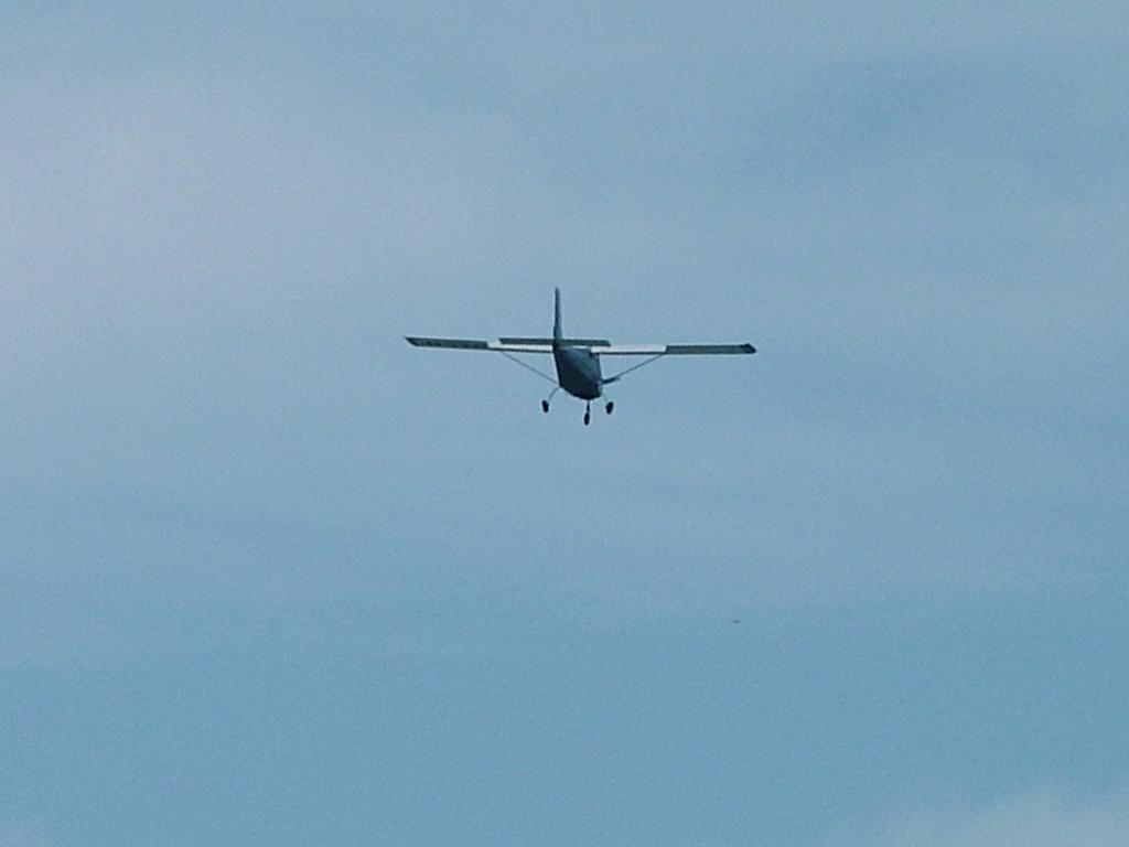 Click now to see this image full size.